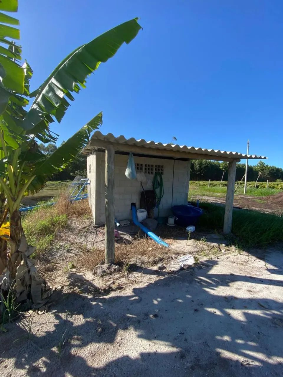 12 hectares em Jaguaré es  - Foto 4
