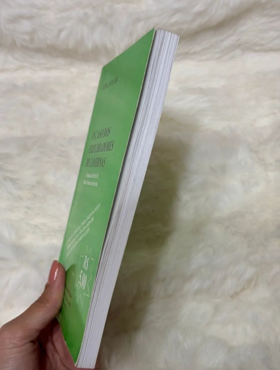 Livro o caso dos exploradores de caverna - Foto 5