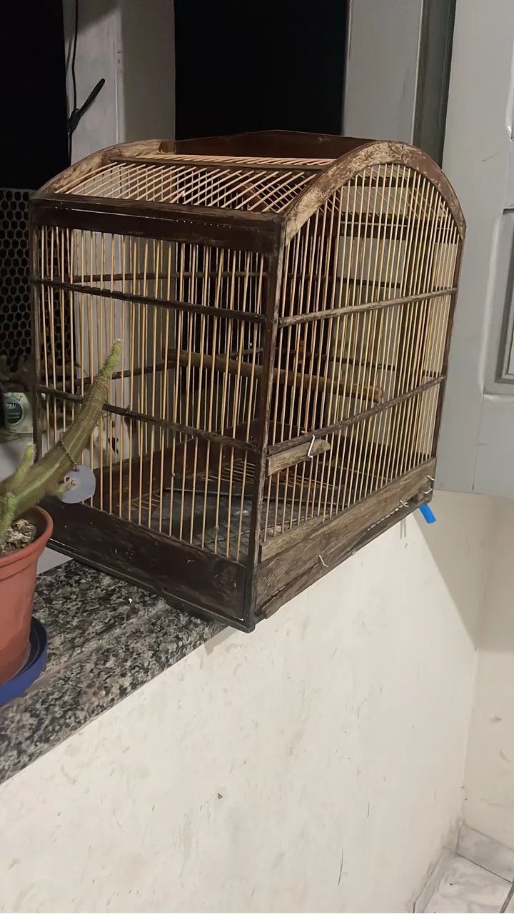 Gaiola 