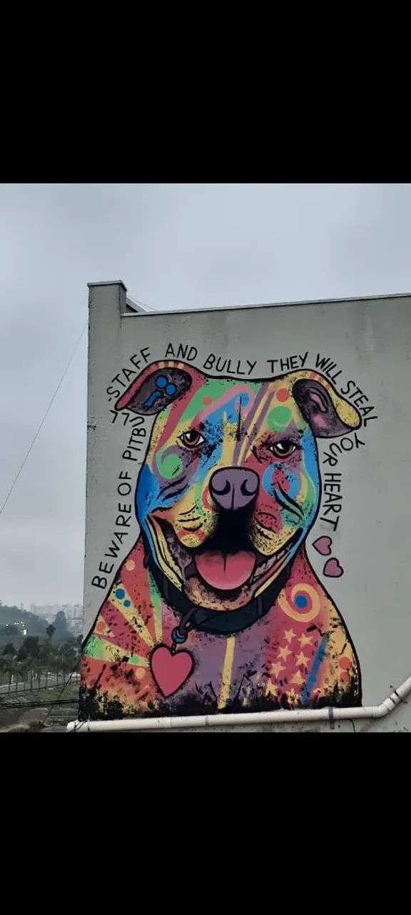 Grafite em Geral - Foto 2