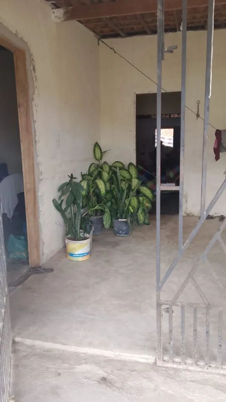 Vende-se essa casa tururu 6 comodo - Foto 4