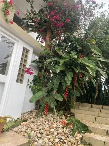 Quarto Individual Centro - Foto 2