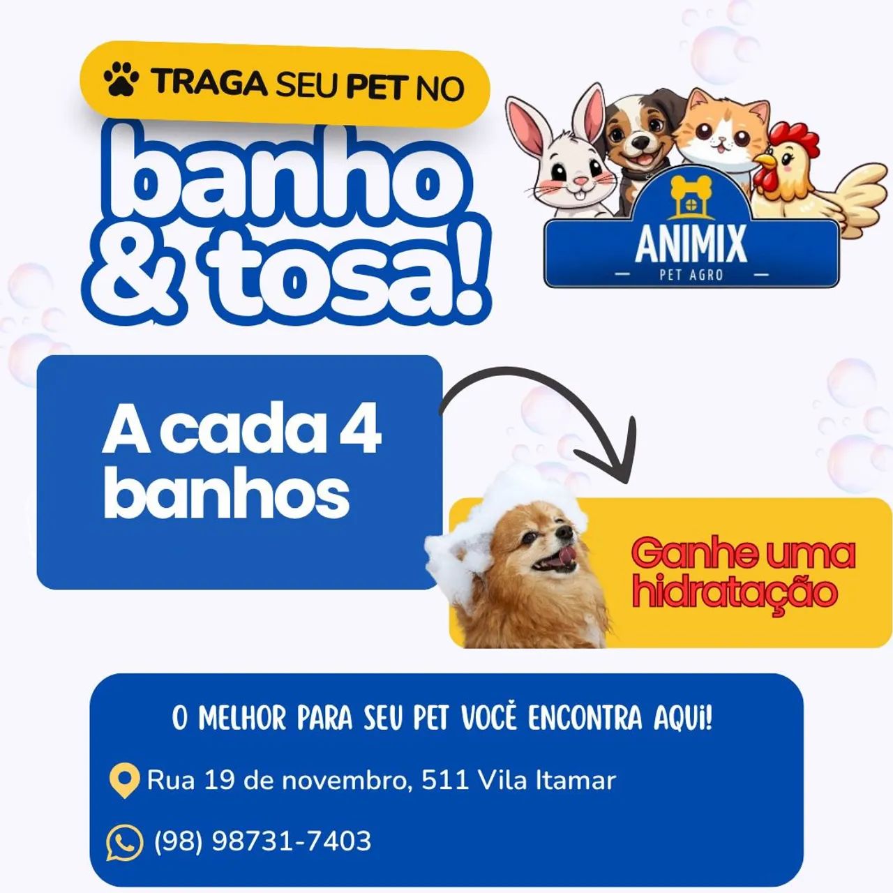 Serviço de Banho e Tosa - Táxi Pet (Cães e gatos)  - Foto 3