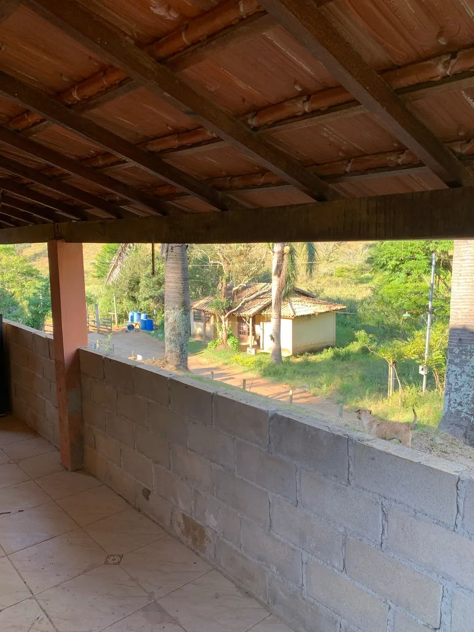 Sítio com casa 2200m2 - Foto 5