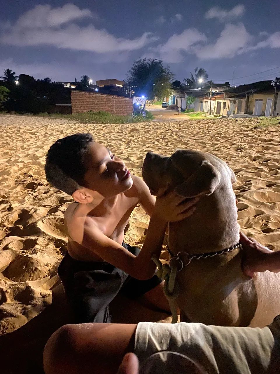 Pitbull  - Foto 2