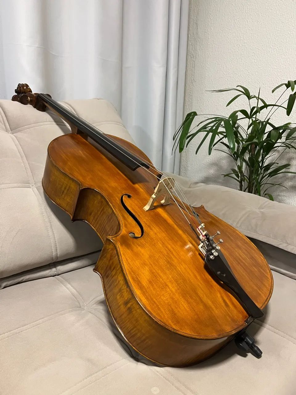 Violoncelo  - Foto 5