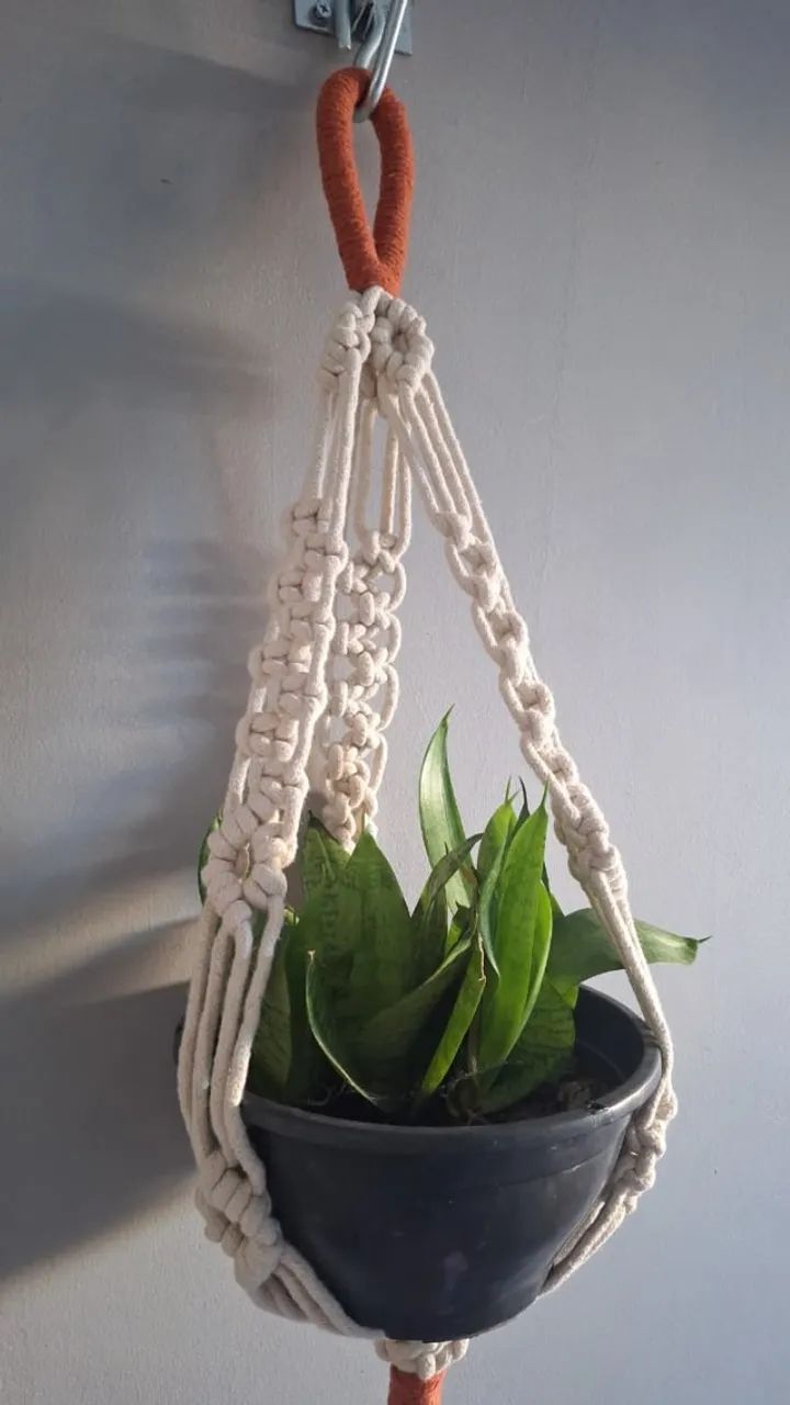 Suporte de planta - Foto 4