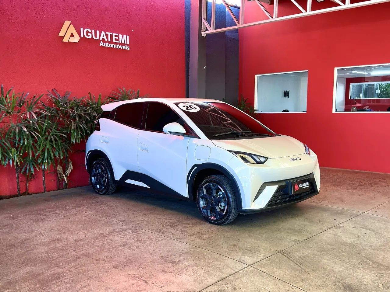 BYD Dolphin Mini (Elétrico) 2026 - Foto 5