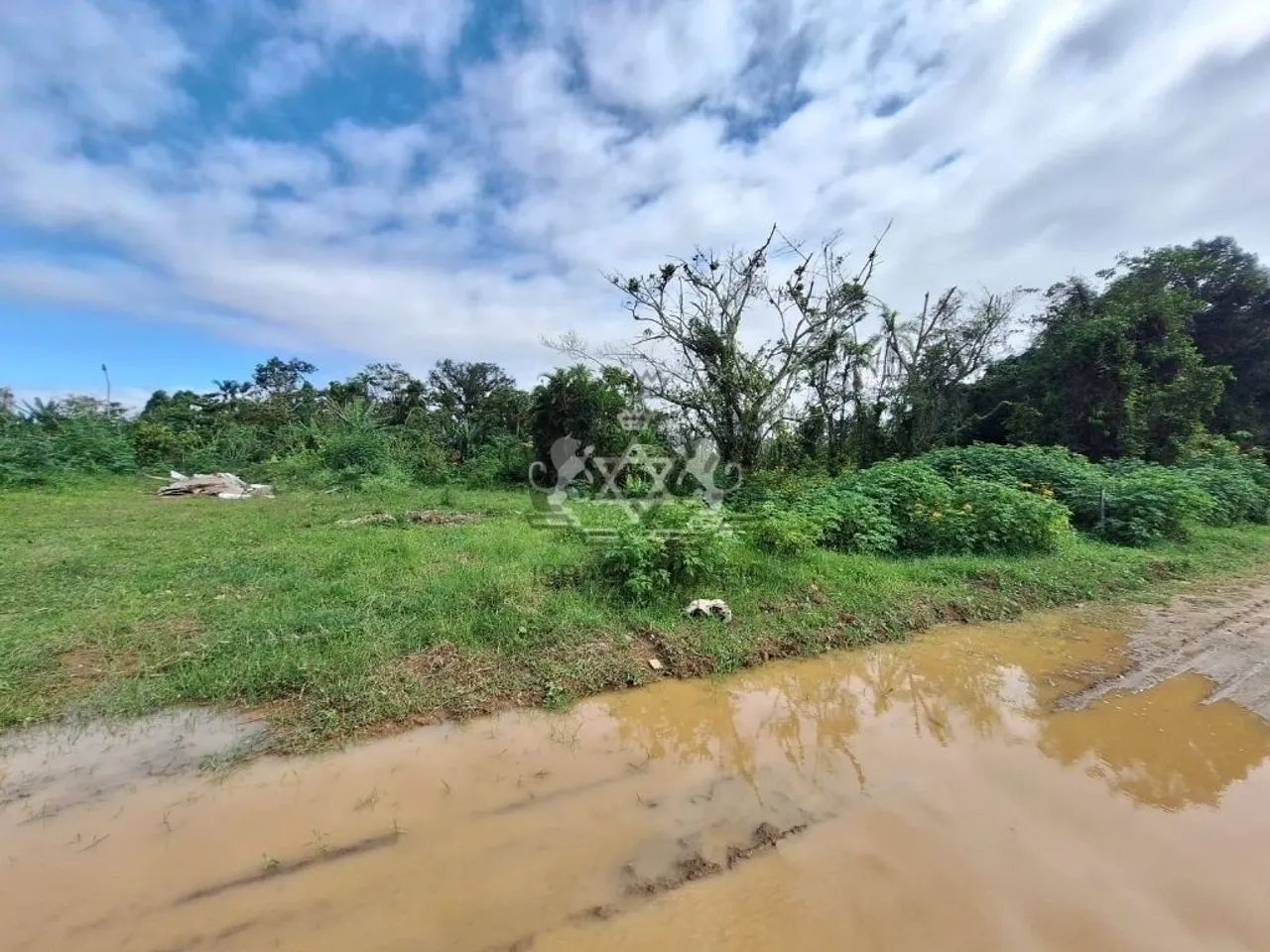Terreno | Venda | golfinho - Foto 3