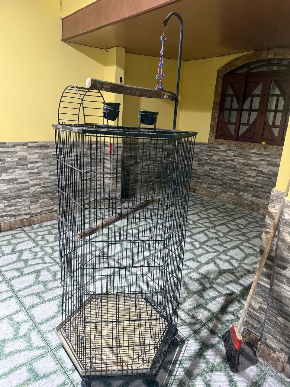 Viveiro de papagaio 