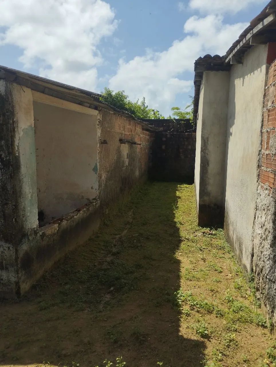 Vende se terreno  - Foto 4