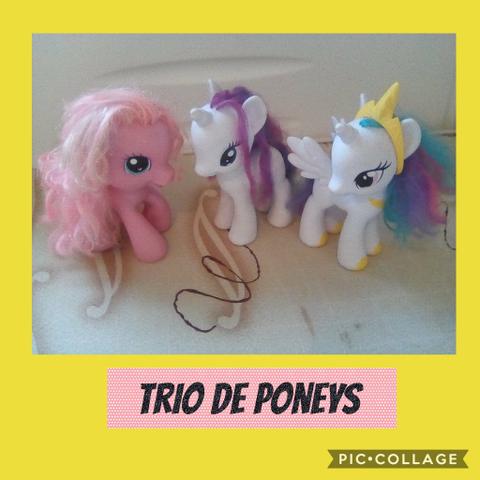 Três poneys lindos