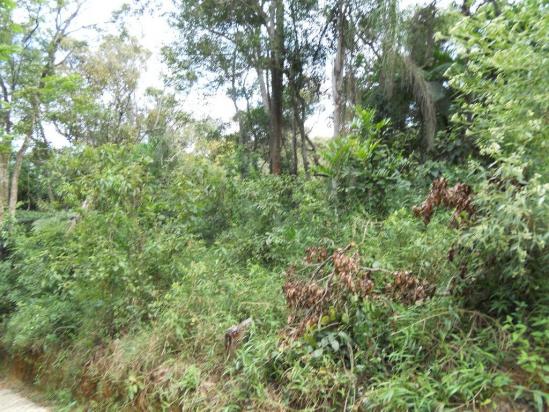 Terreno residencial à venda, Recanto do Lago, Mairiporã. - Foto 6