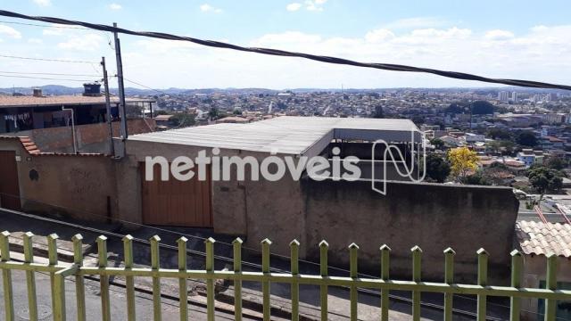 Casa à venda com 5 dormitórios em Novo glória, Belo horizonte cod:766818 - Foto 5