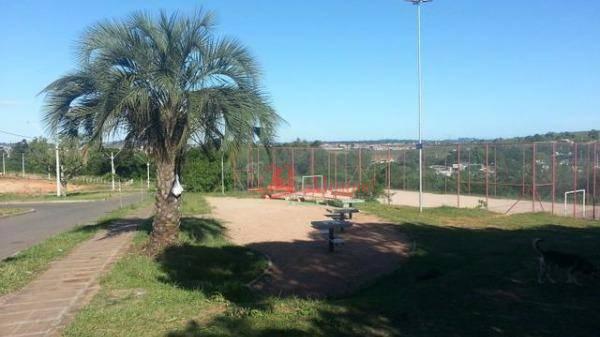 Terreno Residencial à venda, Protásio Alves, Porto Alegre - TE0288. - Foto 3