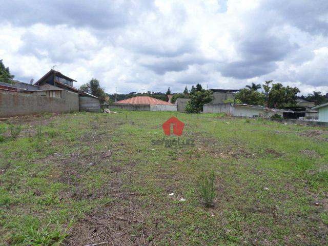 Terreno Comercial para Locação na Vila Santa Terezinha em Almirante Tamandaré - Foto 2