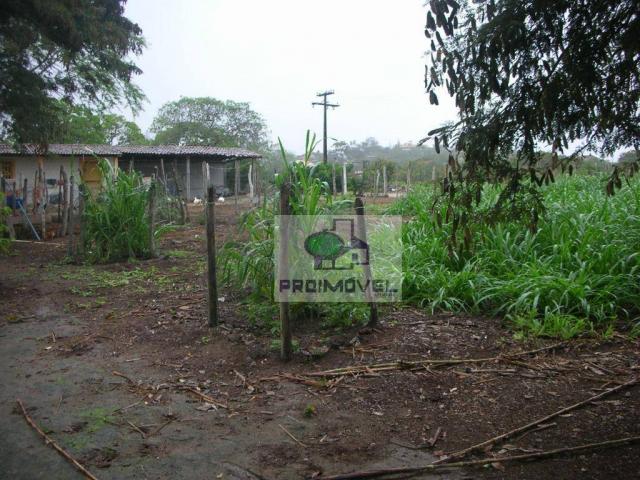 Chácara residencial para venda e locação, Santana, Gravatá. - Foto 6