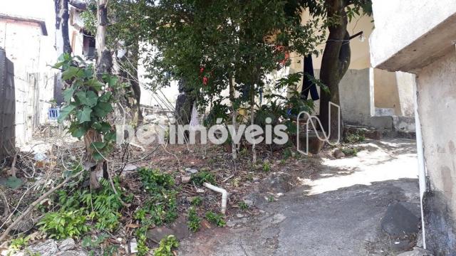 Casa à venda com 5 dormitórios em Novo glória, Belo horizonte cod:766818 - Foto 17