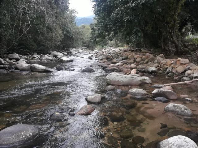 Jordão Corretores - Terreno ecológico Guapiaçu - Foto 8