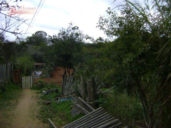 Terreno Residencial à venda, Protásio Alves, Porto Alegre - TE0126. - Foto 3