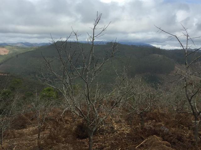 Ótima Propriedade em Aracê - Domingos Martins - Foto 15