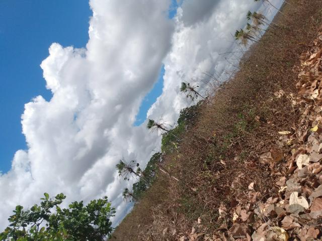 Terreno de 58 hactares com casa - Foto 7