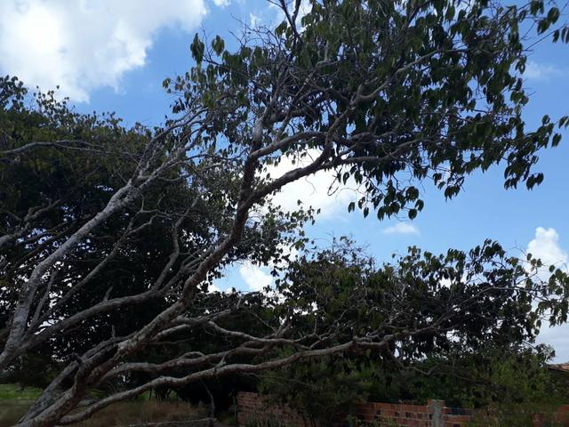 Terreno na Serra de Itabaiana - Foto 10