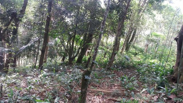 Terreno 1600M - Embu Guaçu - Foto 8