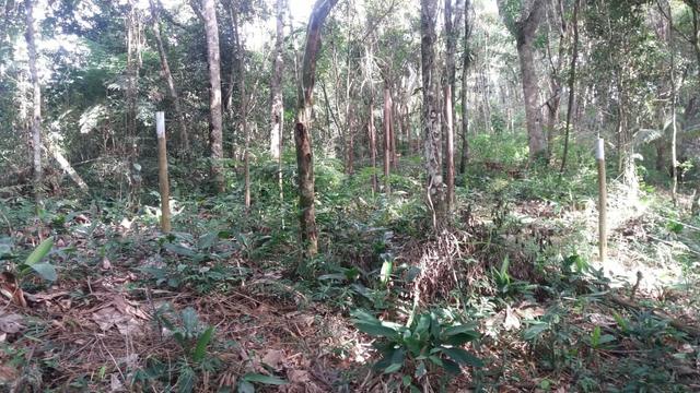 Terreno 1600M - Embu Guaçu - Foto 9