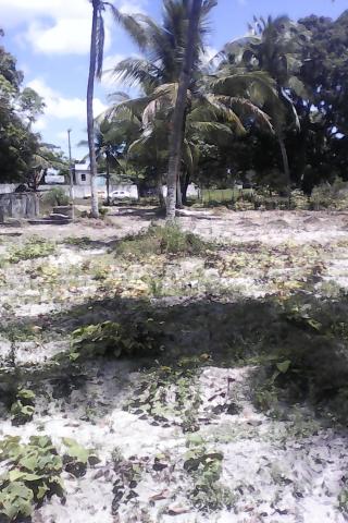 Vende-se uma chácara 1.800.000.00 - Foto 9