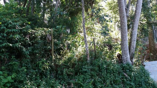 Terreno 1600M - Embu Guaçu - Foto 4