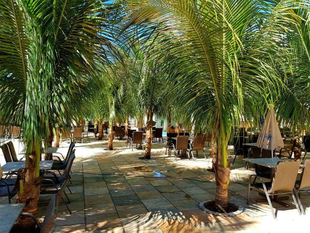 Apartamento com parque aquático com 12 piscinas. - Foto 10