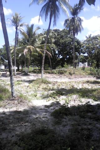 Vende-se uma chácara 1.800.000.00 - Foto 7