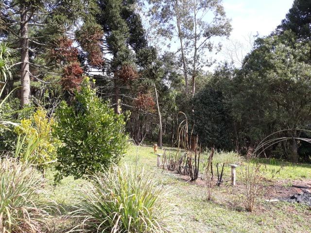 Chácara em Contenda - Urbana - Foto 11