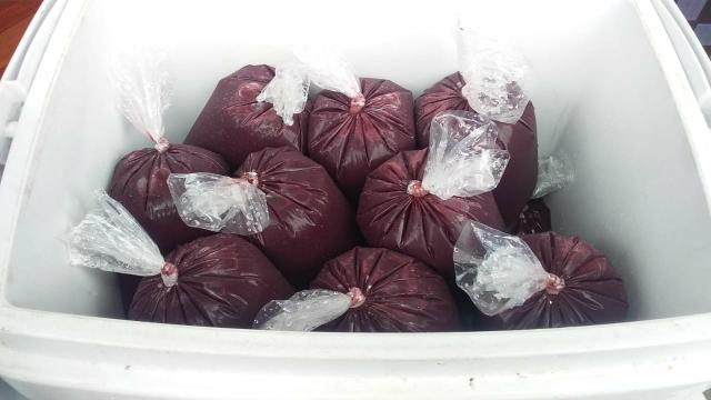 Vendemos Açaí de Anorí por apenas R$ 8,00 o litro.