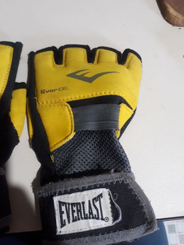 luva mma everlast