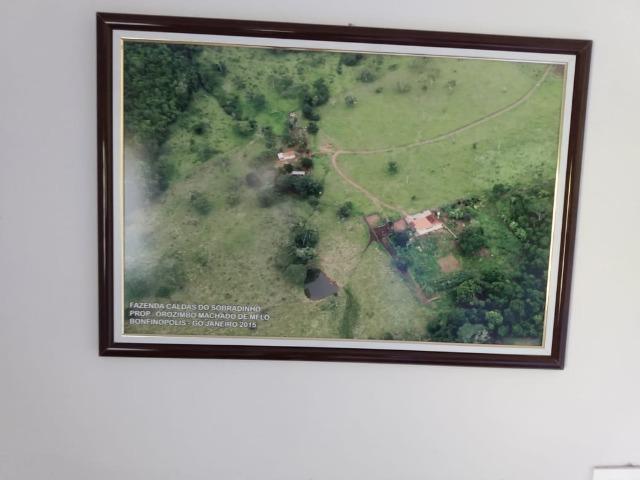 Fazenda no município de Bonfinópolis 24 alqueires - Foto 15