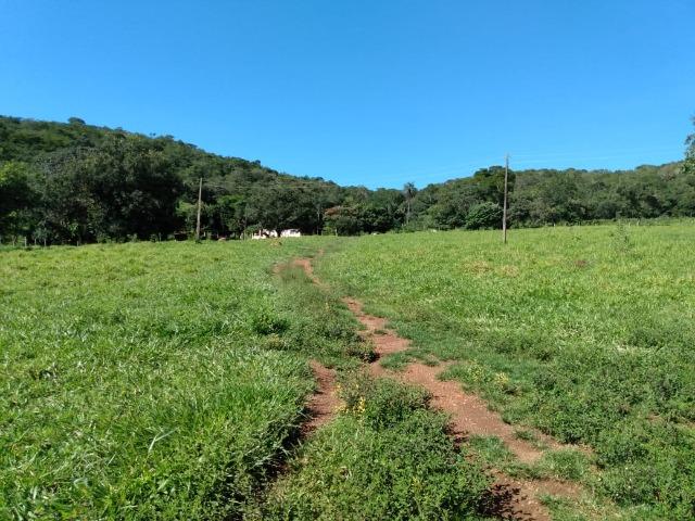 Fazenda no município de Bonfinópolis 24 alqueires - Foto 5