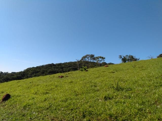 Fazenda no município de Bonfinópolis 24 alqueires - Foto 2