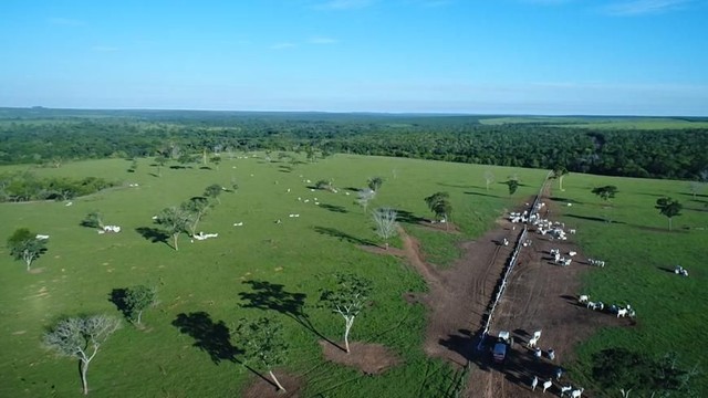Fazenda em Paranatinga-MT, 6.300 hectares. - Foto 8