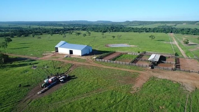 Fazenda em Paranatinga-MT, 6.300 hectares. - Foto 9