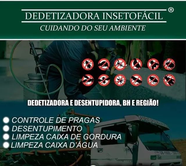 Dedetização e Desentupimento Inseto Fácil 