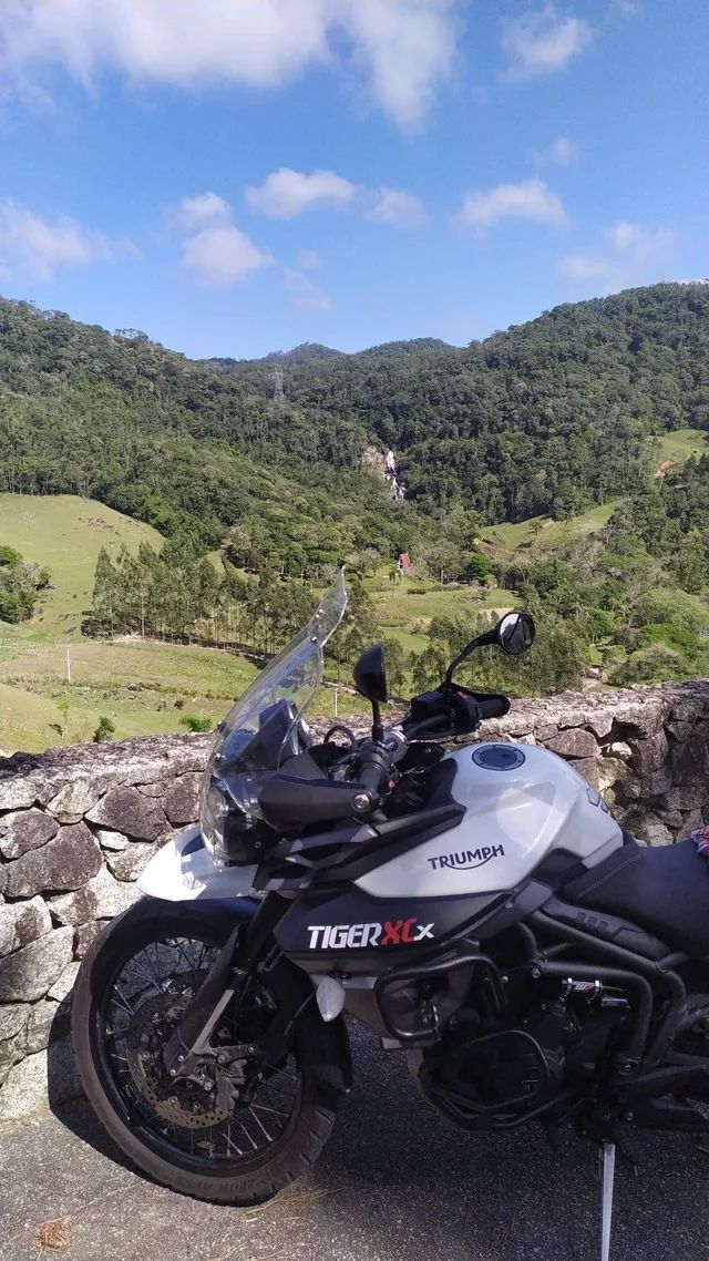 tiger 800 xcx olx