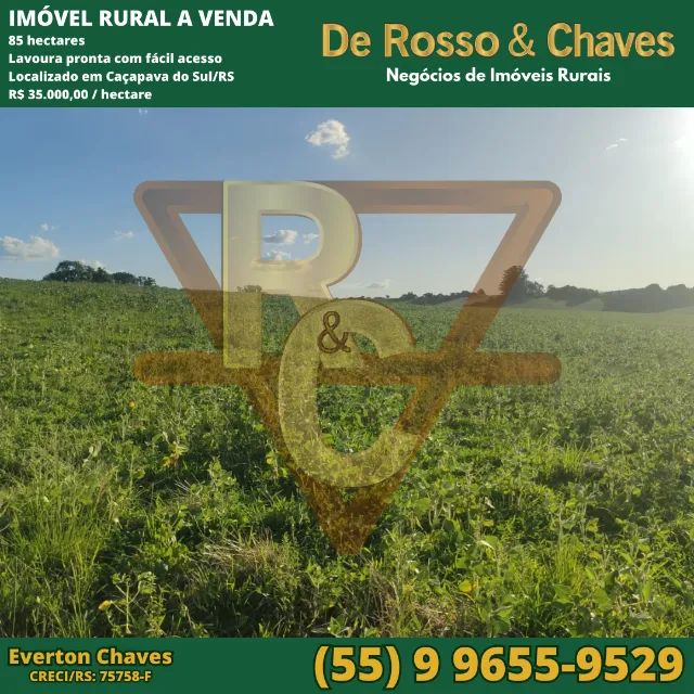 Imóveis Rurais - Compra - Venda - Arrendamento - Foto 5