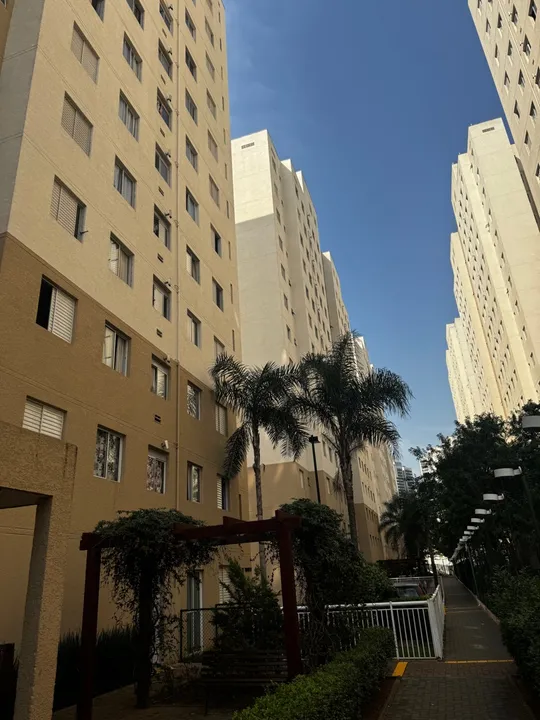 Alugar apartamento campo limpo