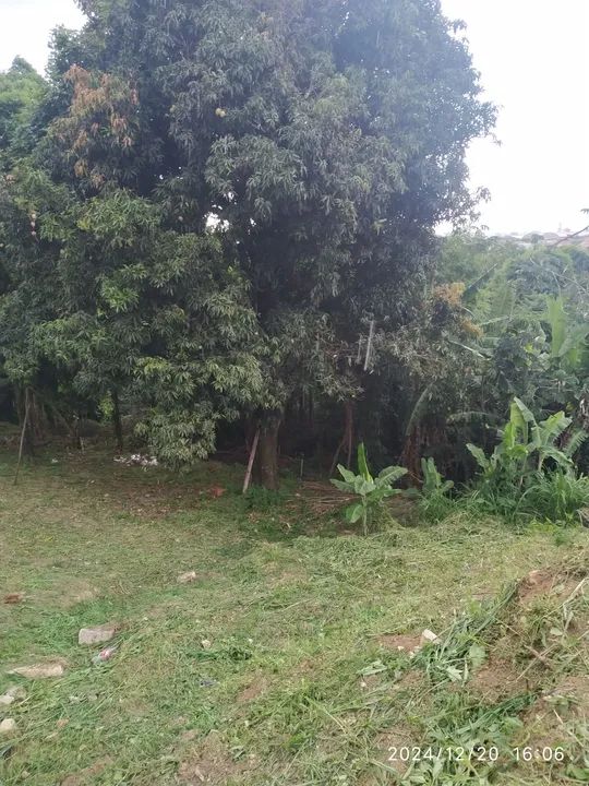 Roçagem limpeza de terrenos  - Foto 3