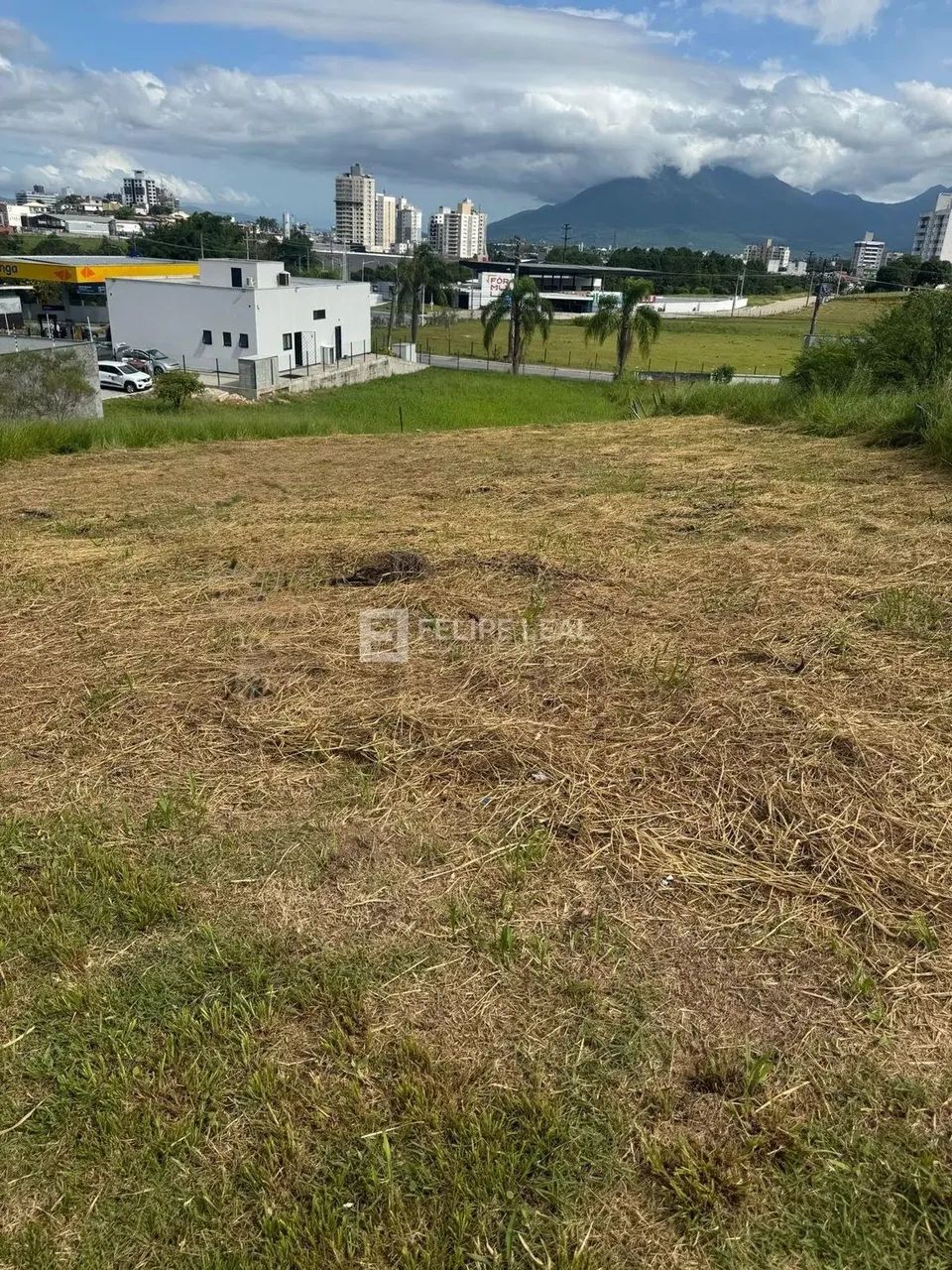 Lote / Terreno em Bairro Pedra Branca - Palhoça - Foto 3