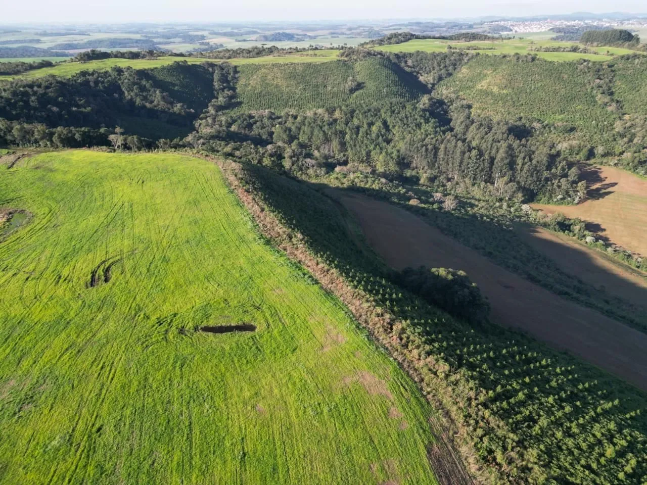 Fazenda região de Pato Branco 147 alqueire
