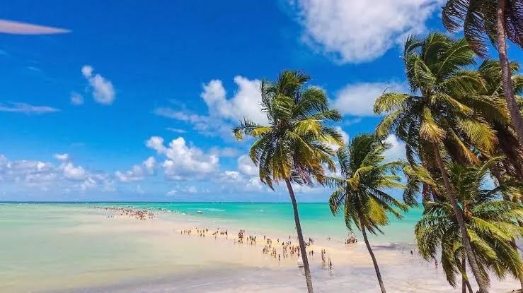 CASA CARNAVAL CAMINHO DE MOISÉS ( MARAGOGI ) - Foto 12