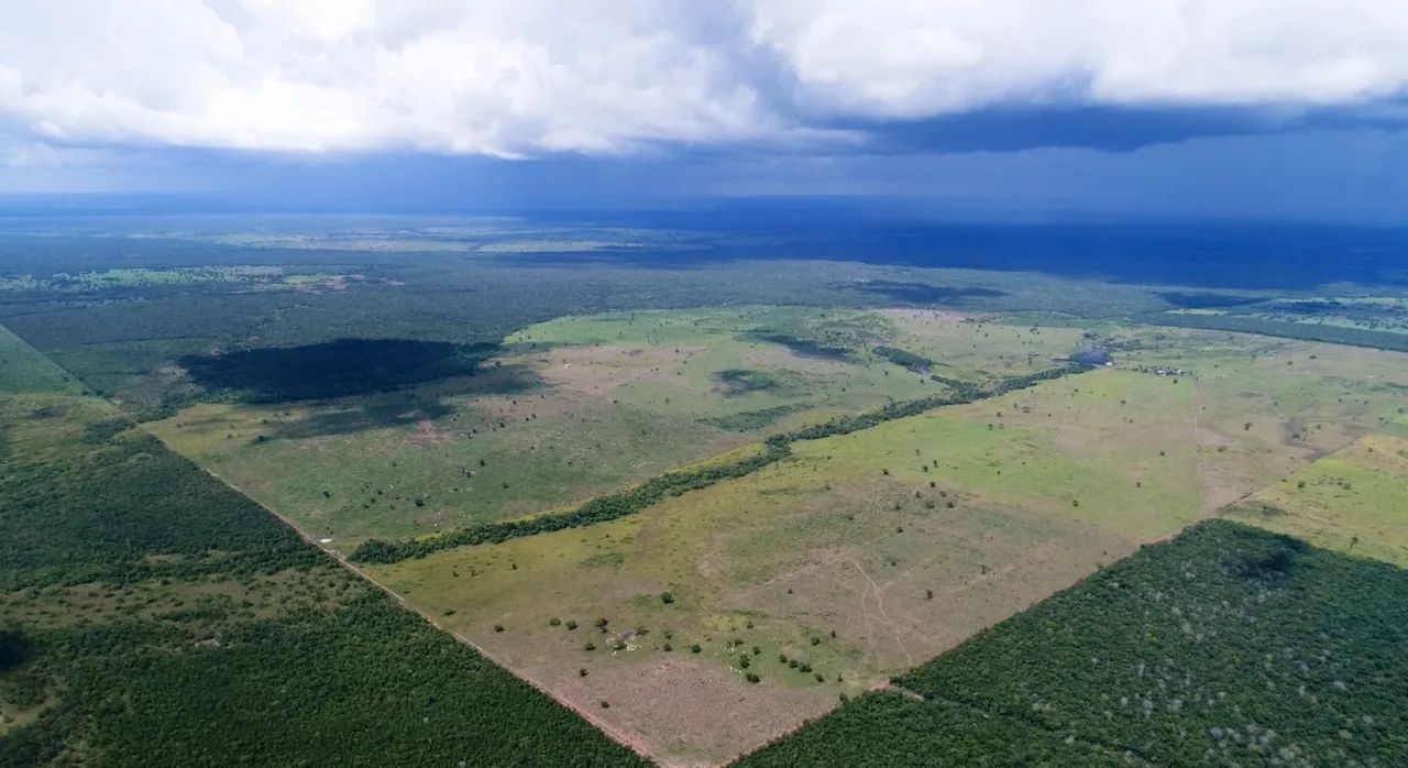 Fazenda 1.338.80 hectares Dupla Aptidão- Dueré TO